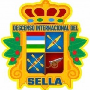 Pin Escudo Sella